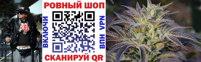 МЕФ Тимашёвск
