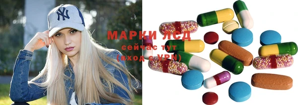 apvp Аркадак