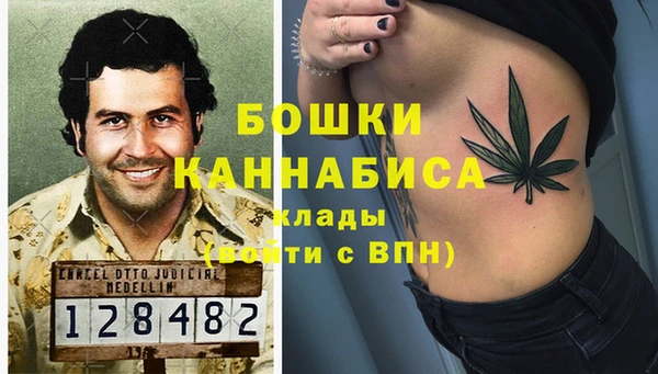 apvp Аркадак