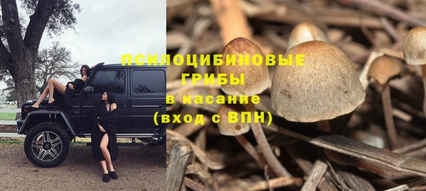 дживик Рославль