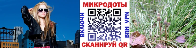 Галлюциногенные грибы MAGIC MUSHROOMS Тимашёвск